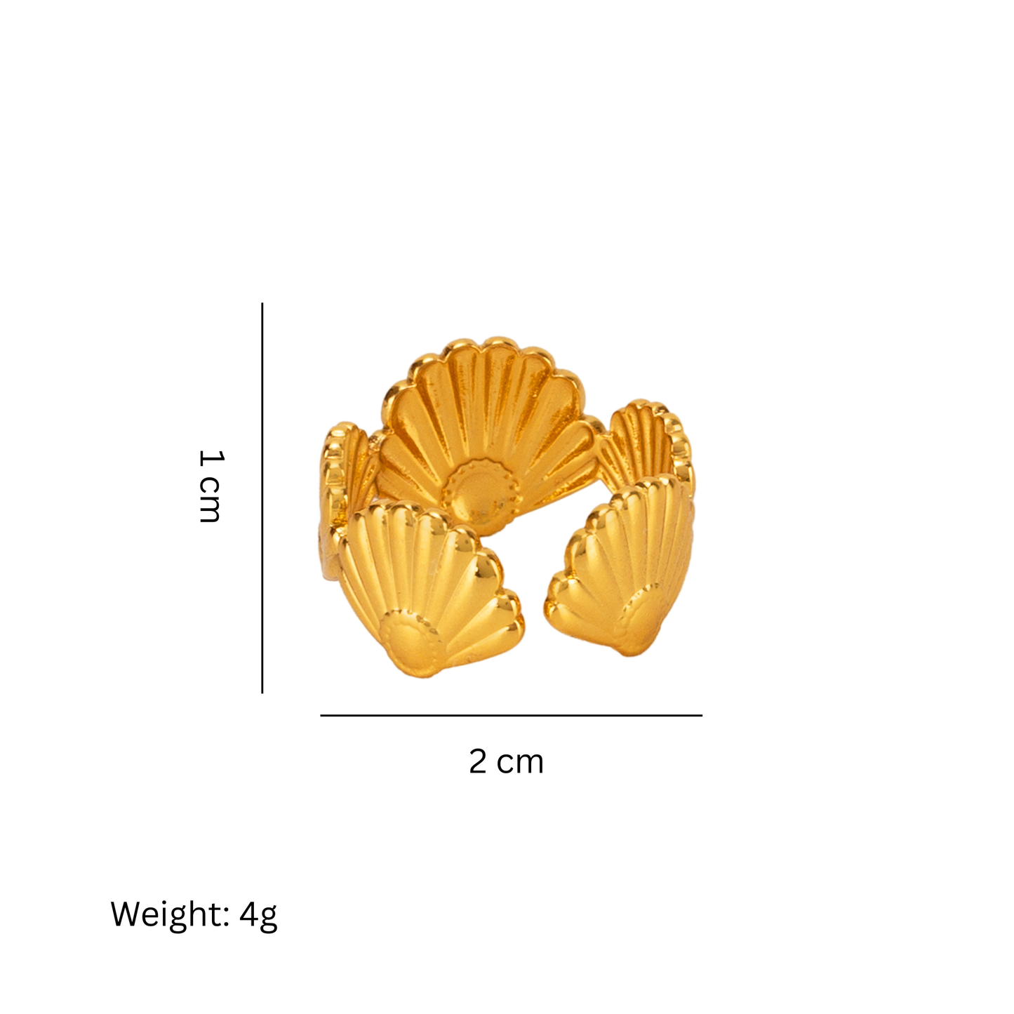 Coastal Light Ring