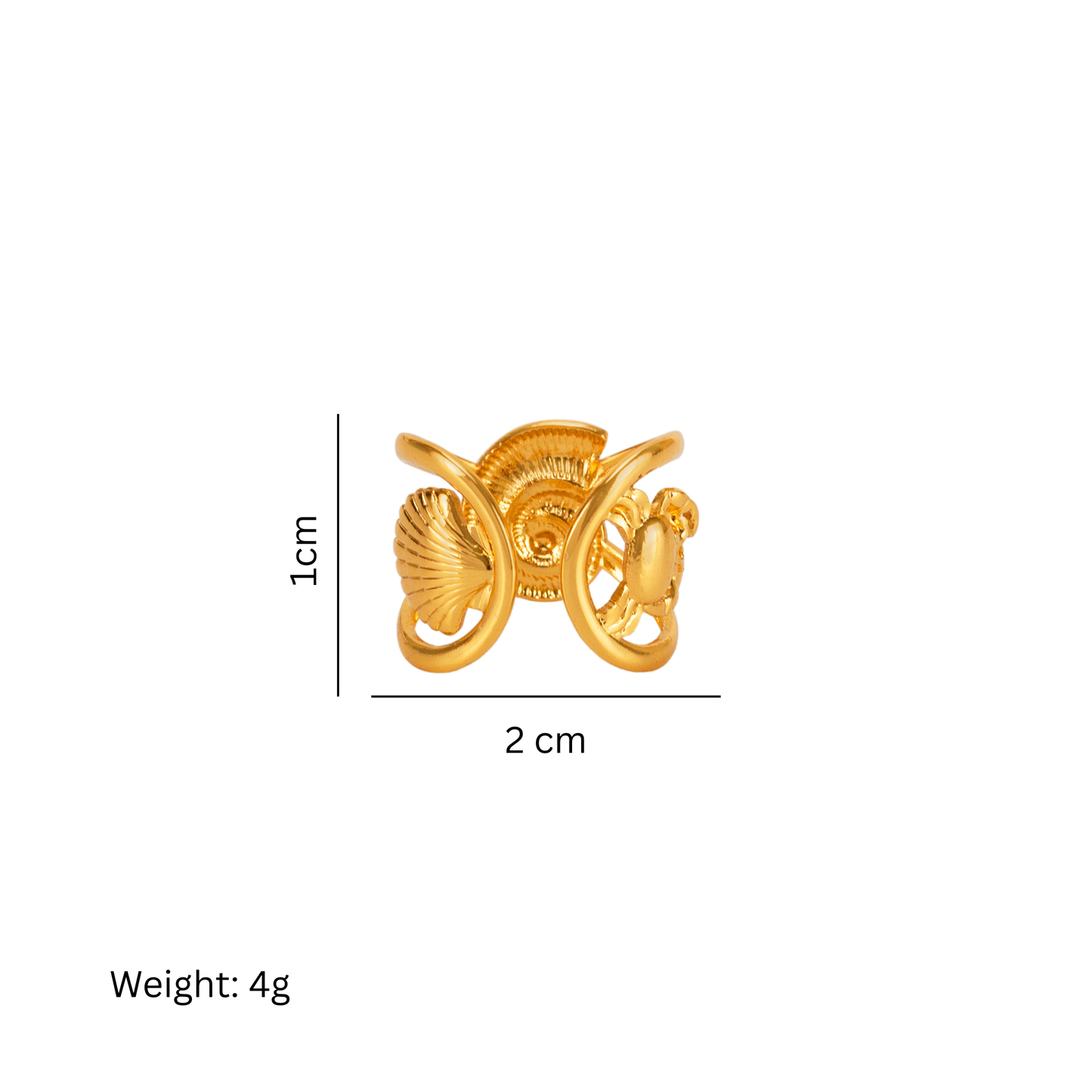 Where Waves Begin Ring