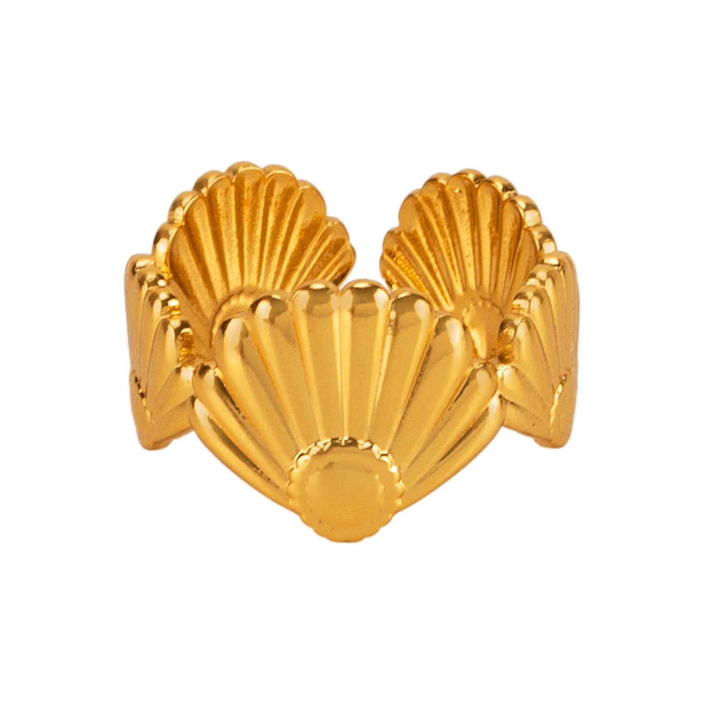 Coastal Light Ring