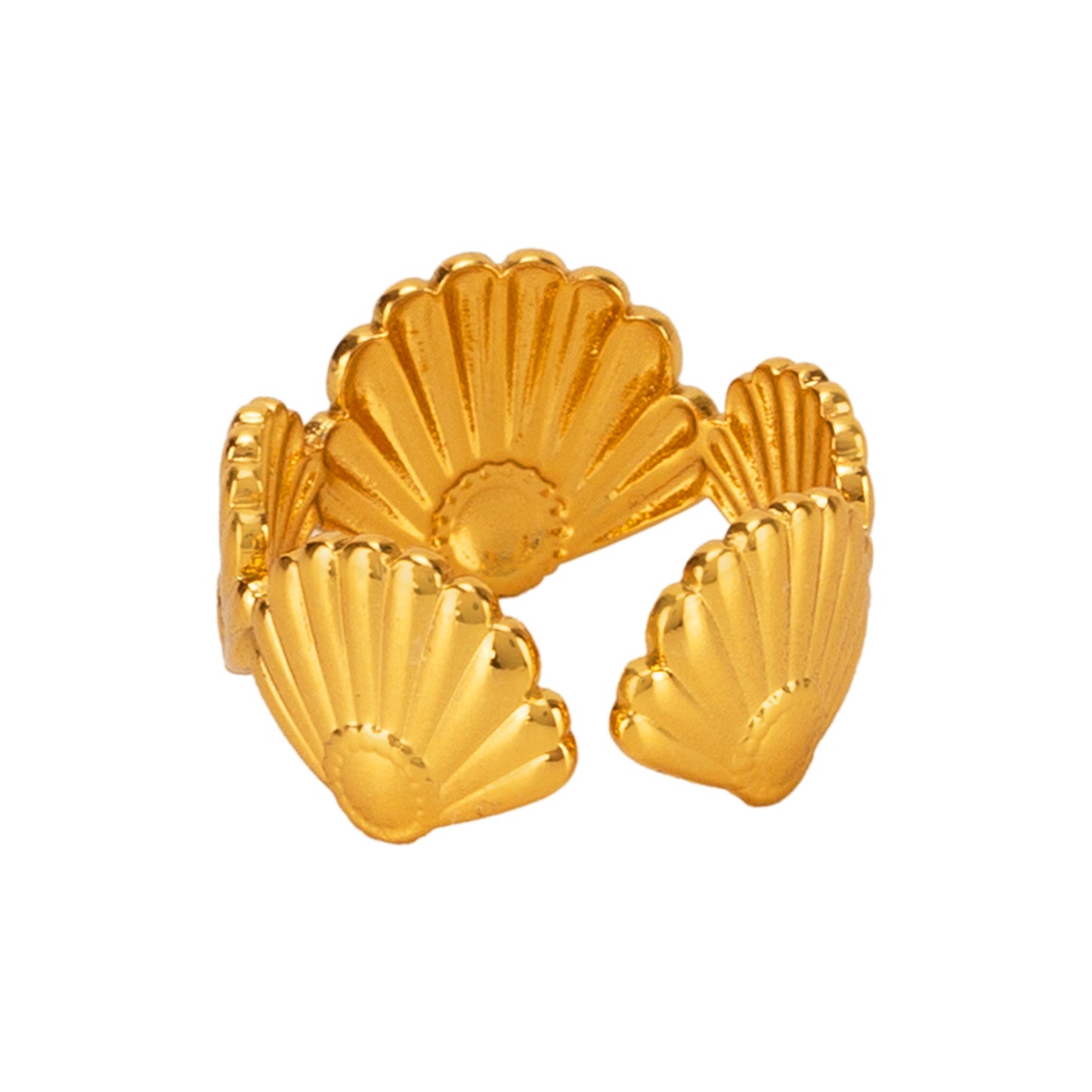 Coastal Light Ring