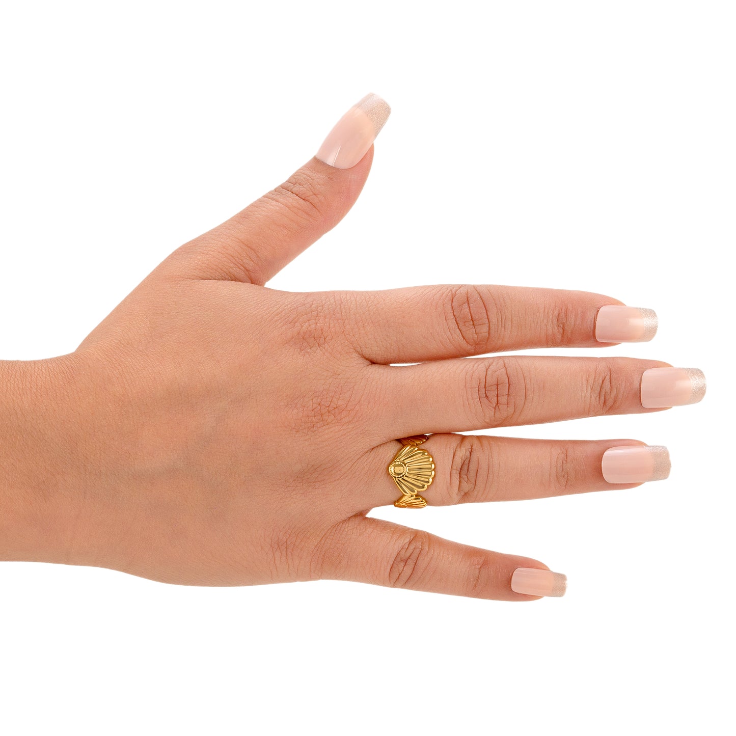 Coastal Light Ring