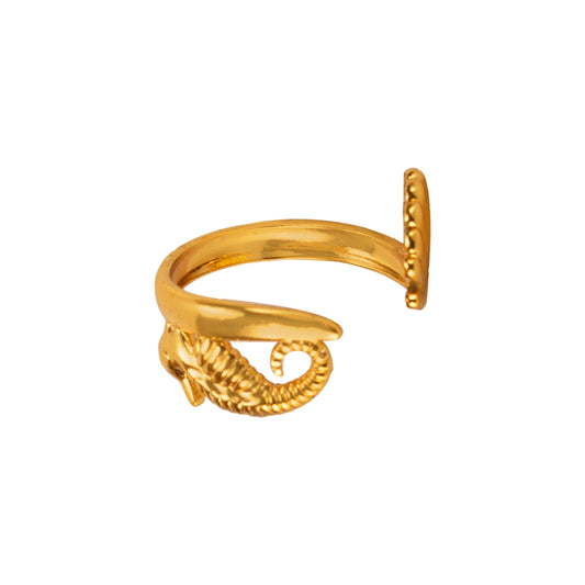 Ocean Companion Ring
