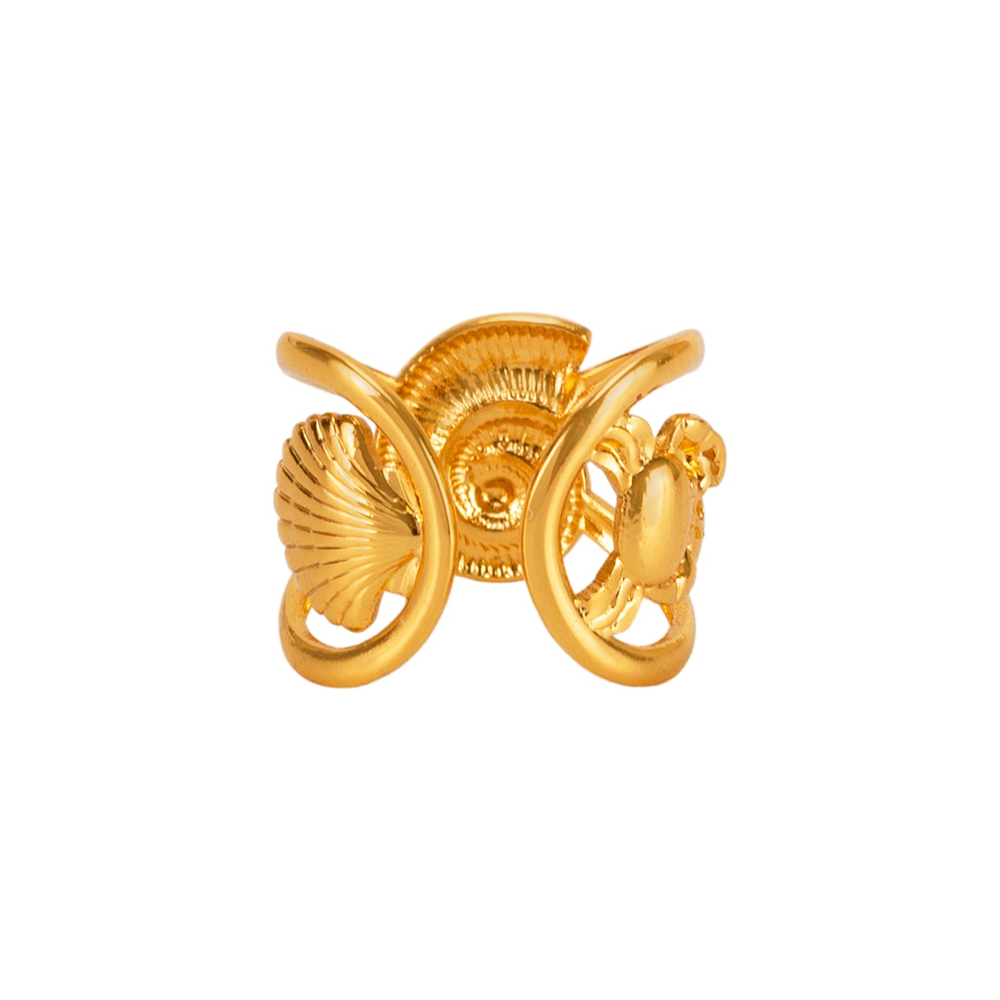 Where Waves Begin Ring