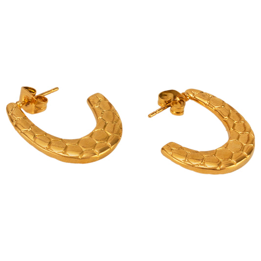 Opening Loop Earrings