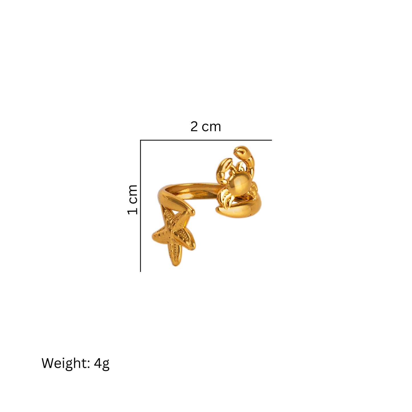 Little Voyager Ring